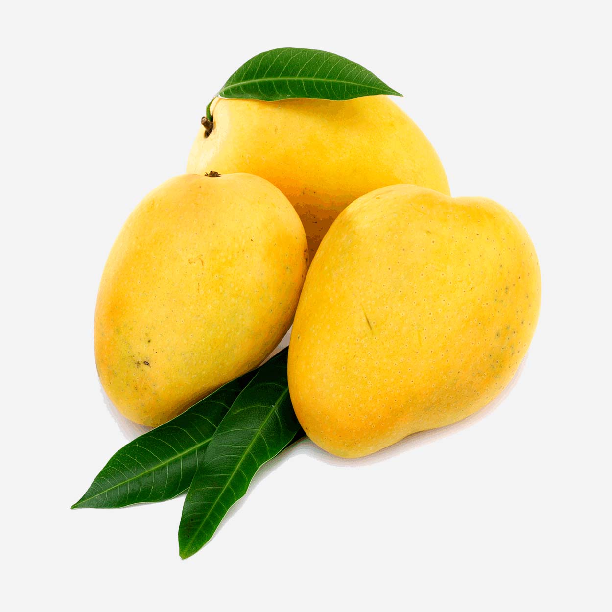 Mango Organic Fruit